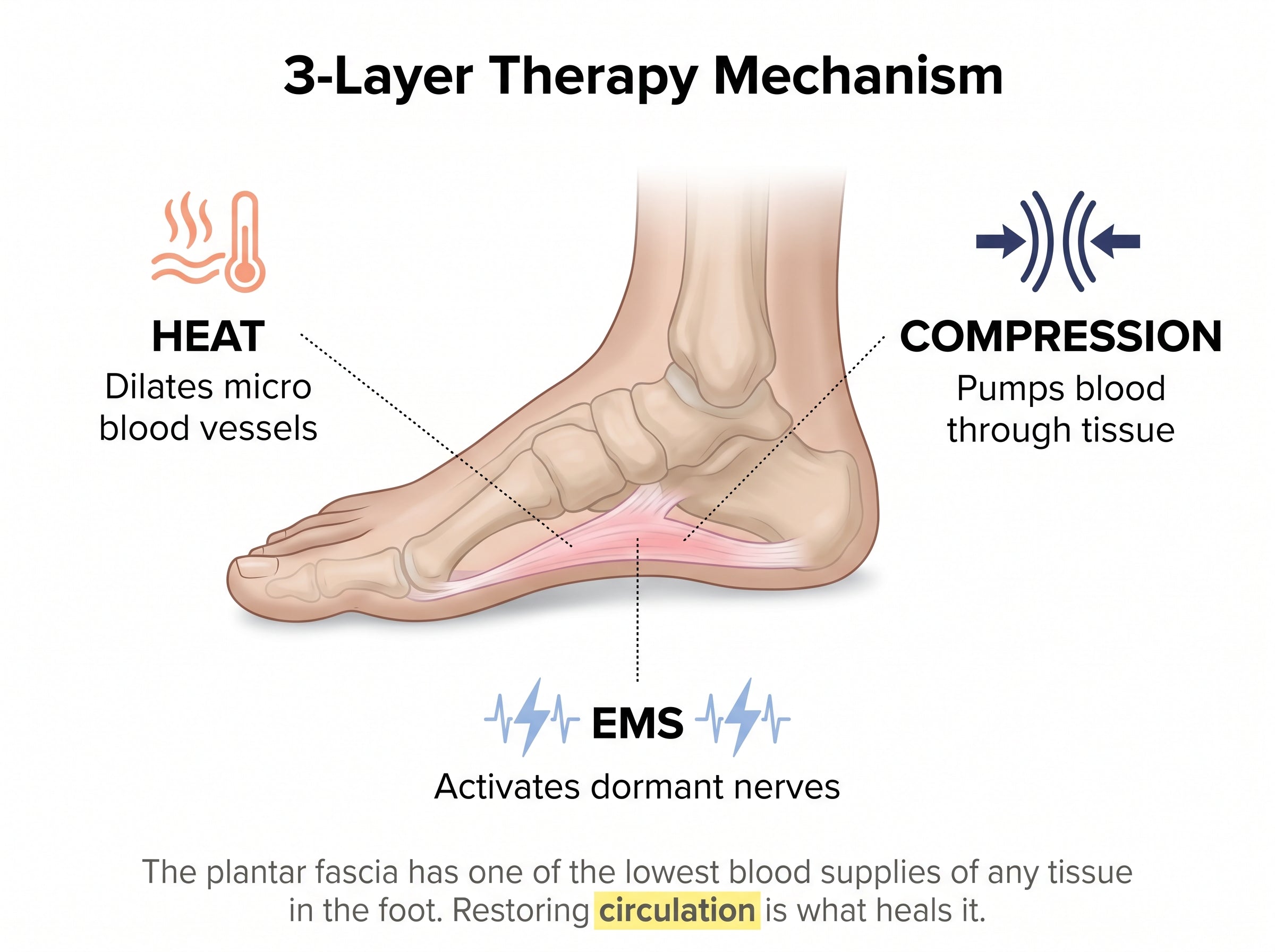 Diagram showing three therapy mechanisms that support plantar fascia circulation: heat to dilate vessels, compression to pump blood through tissue, and EMS to activate dormant nerves